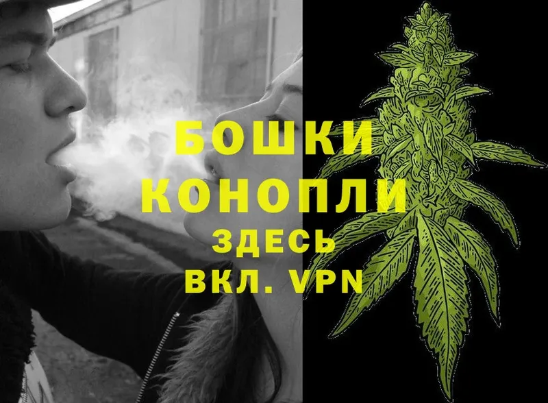 Шишки марихуана OG Kush  Галич 